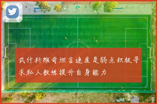 武什科维奇坦言速度是弱点积极寻求私人教练提升自身能力
