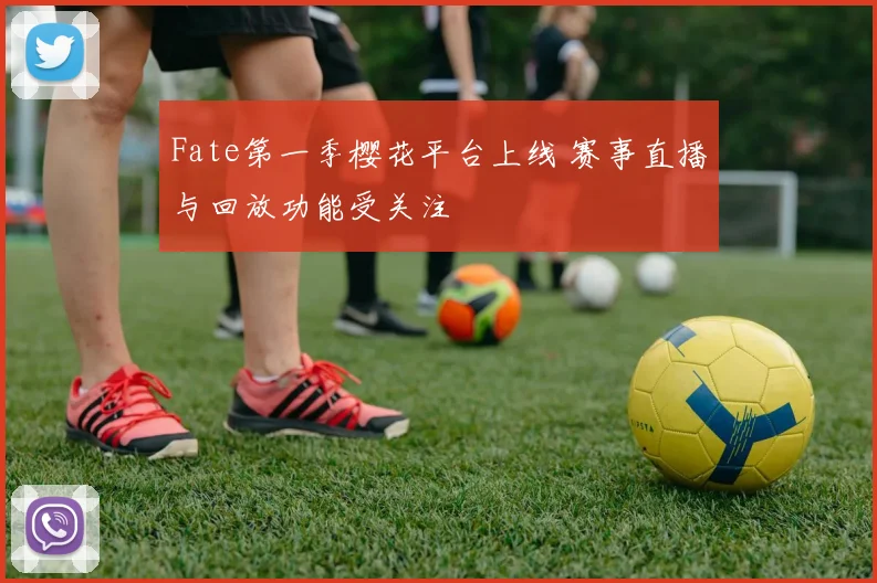 Fate第一季樱花平台上线 赛事直播与回放功能受关注